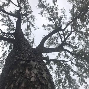 Meet your Posher, Shelli